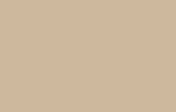Transparent bronze